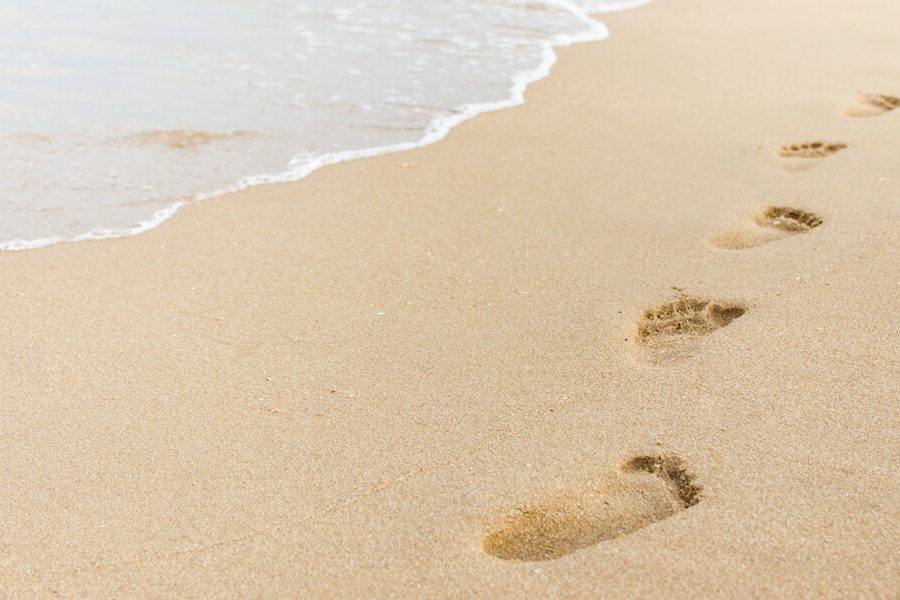 guia-pratico-de-traducao